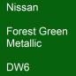 Preview: Nissan, Forest Green Metallic, DW6.